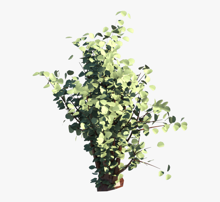 Shrub , Png Download - Sageretia Theezans, Transparent Png