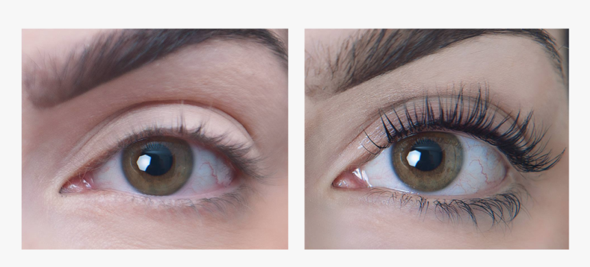 Extensions,nose,eye Liner,human Body,material Property,mascara,contact - Iconsign Lash Lift Before And After, HD Png Download