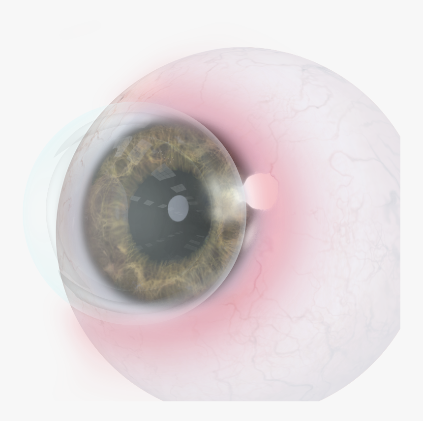 Circle, HD Png Download