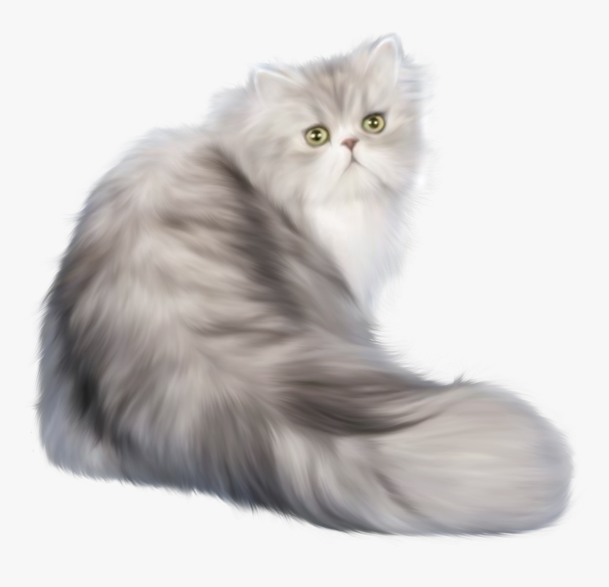 Cat Png Clip Art - Transparent Persian Cat Png, Png Download