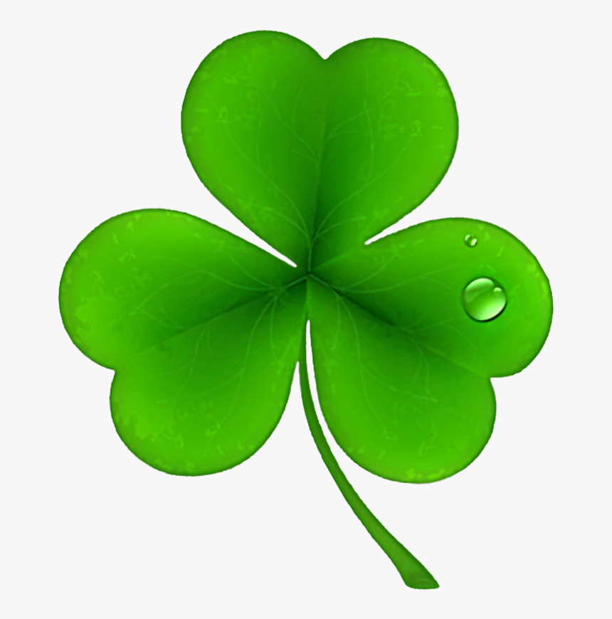 Clover Flower Free Png Transparent Images Free Download - St Patricks Shamrock Clover, Png Download
