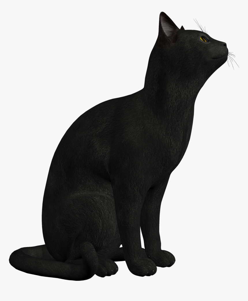 Black Cat Png Clipart - سكرابز الحيوانات, Transparent Png