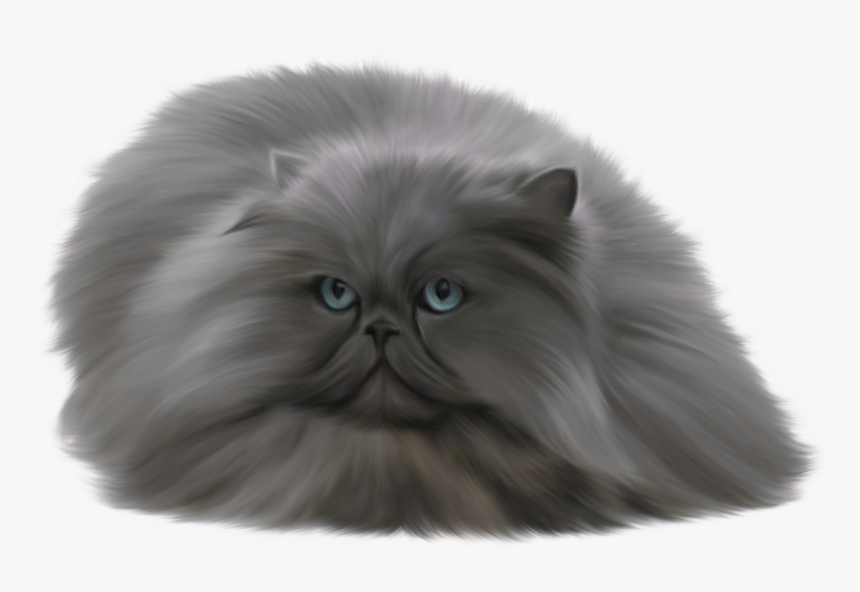 Grey Cat Png Clip Art - Russian Blue Persian Cats, Transparent Png