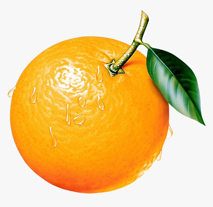 Orange Fruit Clipart - Clip Art Of Orange, HD Png Download
