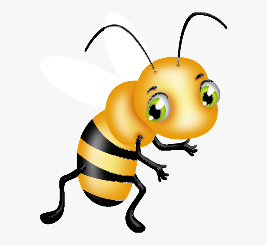 Honeybee, HD Png Download