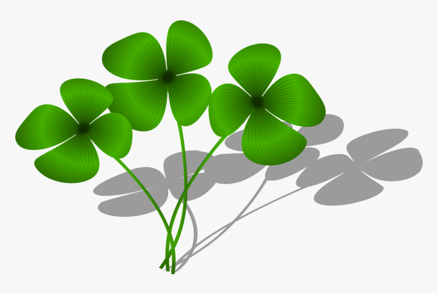 Clovers, Luck, Flora, Green, Plant, Symbol - Clovers Clipart, HD Png Download