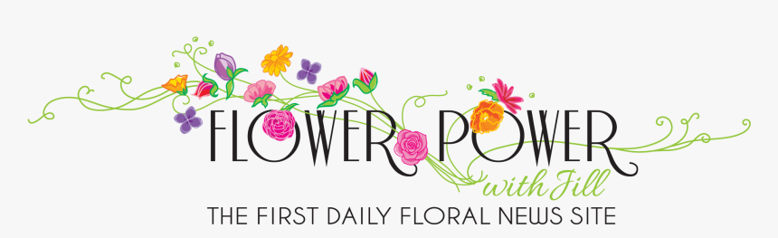 Adora, HD Png Download