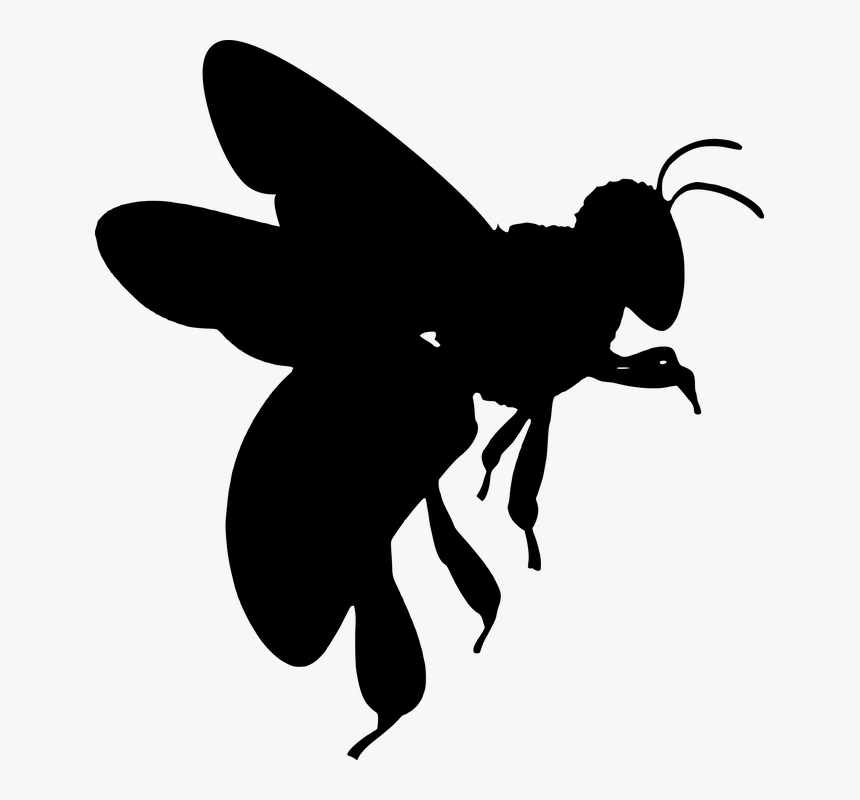 Silhueta, Abelha, Asas, Inseto, Mel, Besouro, Inseto - Honey Bee Silhouette Transparent, HD Png Download