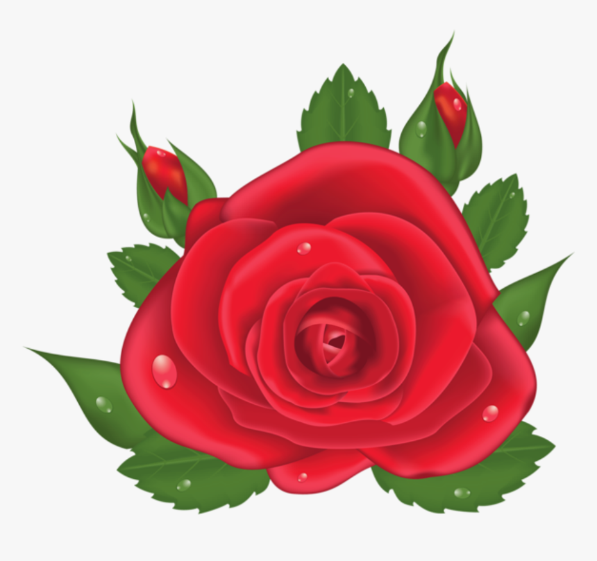 Rosa Vermelha 6 - Rosa Vermelha Desenho Png, Transparent Png