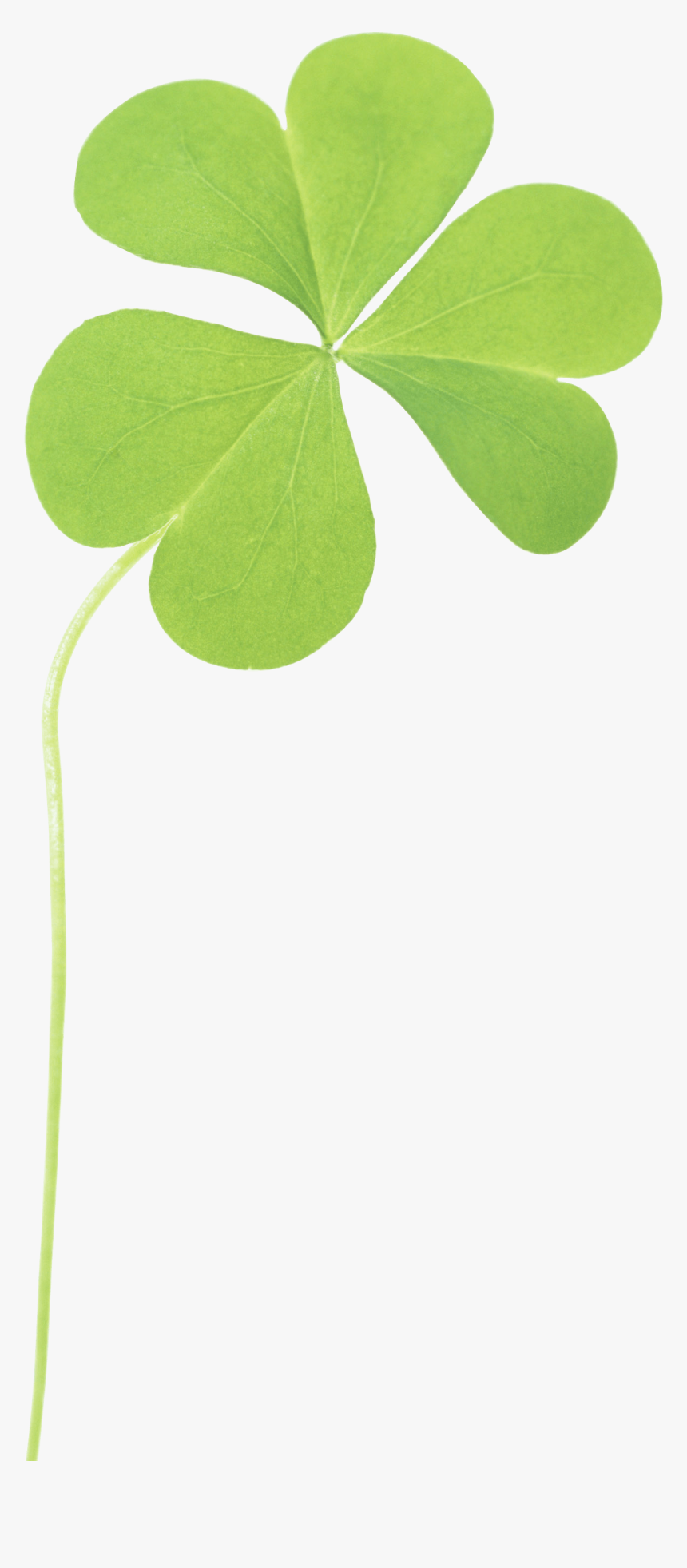 Clover Three Light Clip Arts - Trebol De 3 Hojas Png, Transparent Png