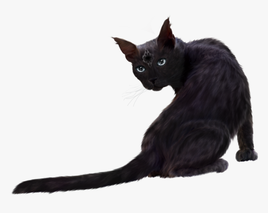 Cat Clipart Png Download - Black Cat Png Hd, Transparent Png