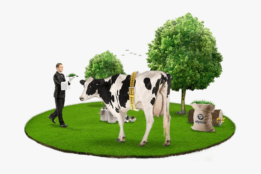 Alpura Nuestras Vacas Bienstar - Dairy Cow, HD Png Download