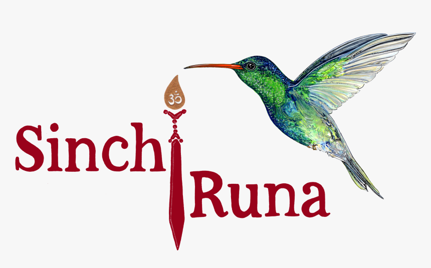 Ruby-throated Hummingbird, HD Png Download