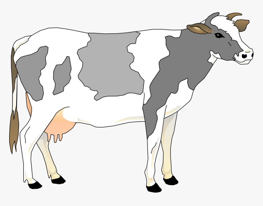 Featured image of post Cow Clipart No Background