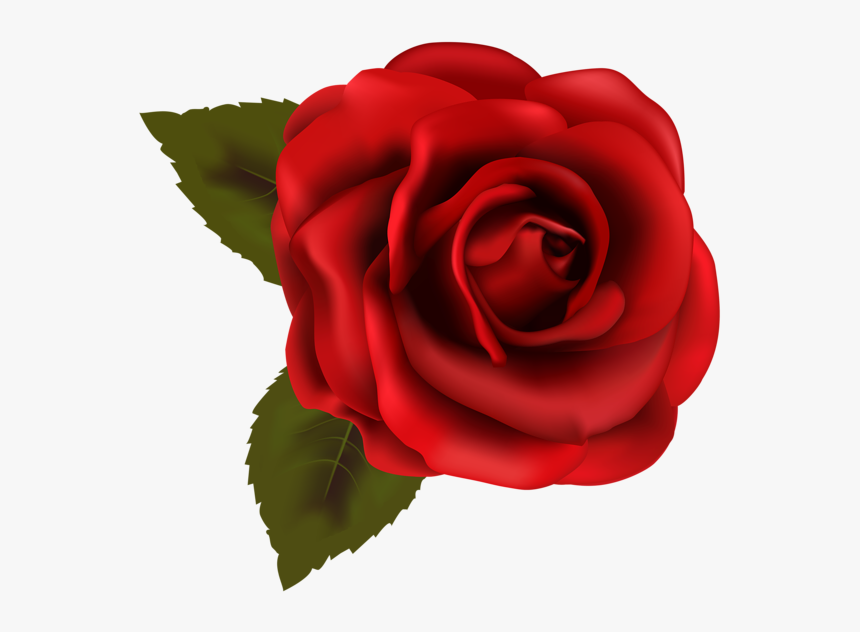 Transparent Background Rose Clipart, HD Png Download
