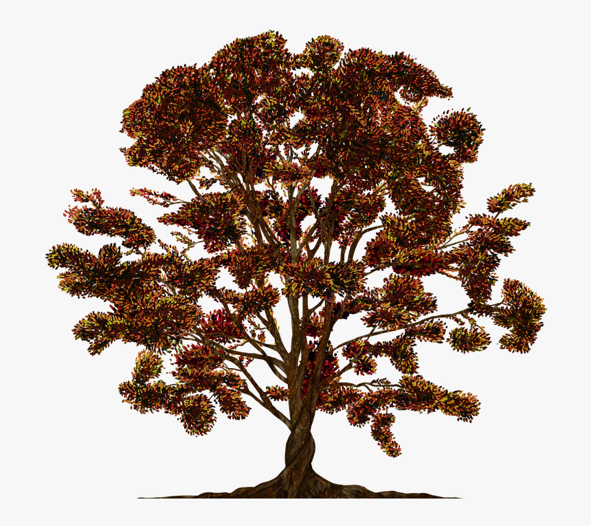 Tree, Vector, Ornament, Color, Family Tree, Texture - Family Tree, HD Png Download
