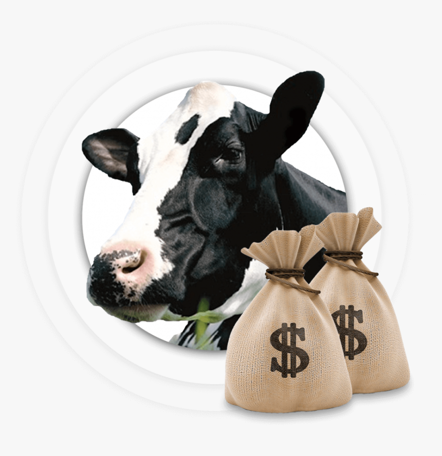 Google Adsense And Google Adwords, HD Png Download