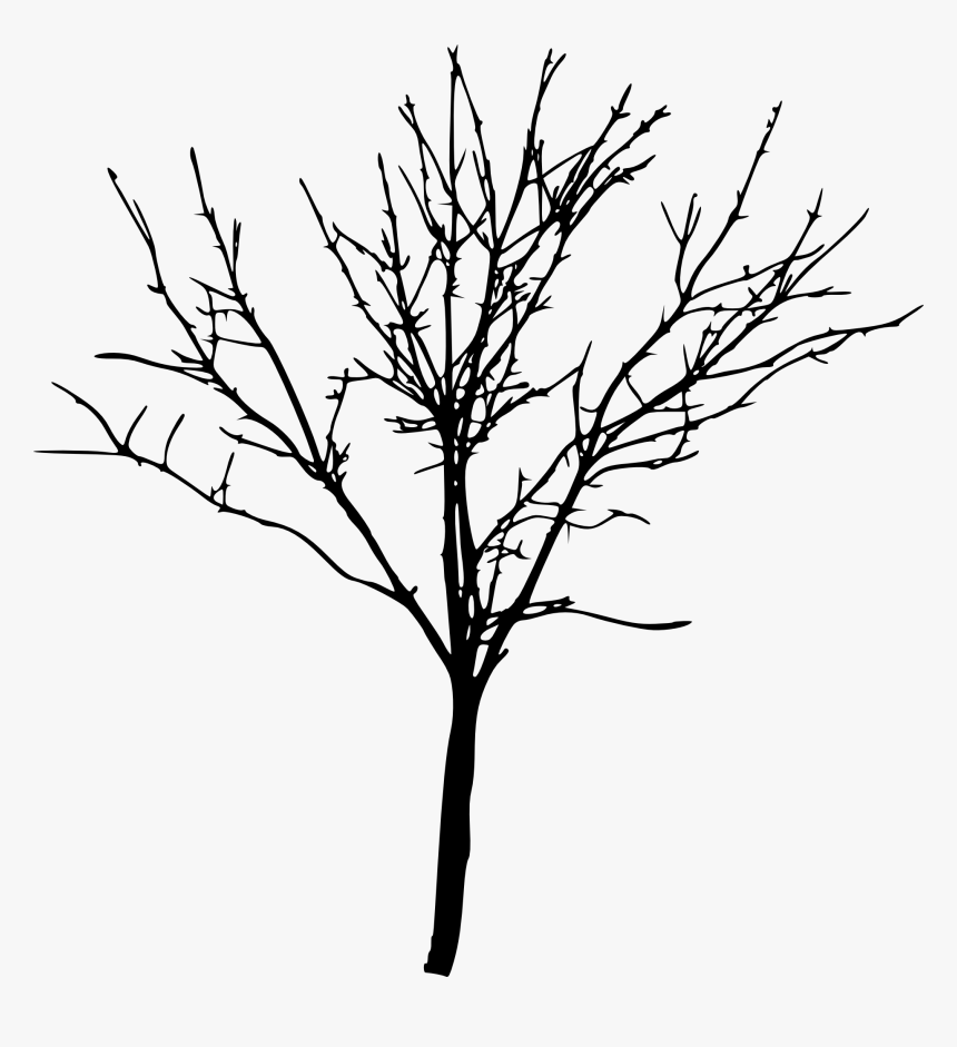 Bare Tree Silhouette Png, Transparent Png