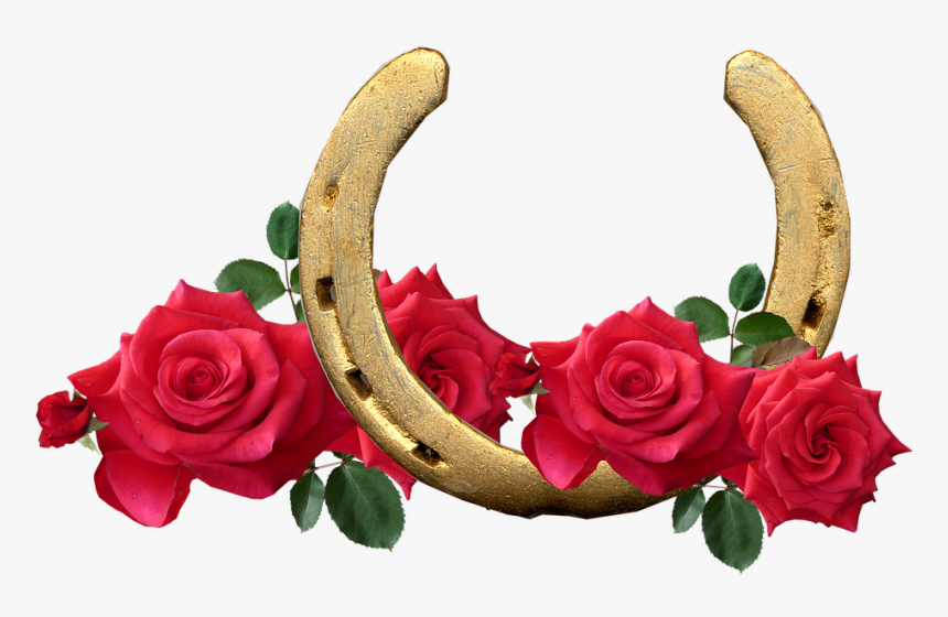Sapato De Cavalo, Rosas Vermelhas, Sortudo - Rose Png Free, Transparent Png