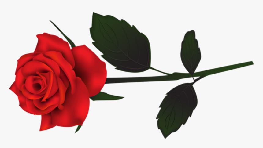 Transparent Single Red Rose, HD Png Download