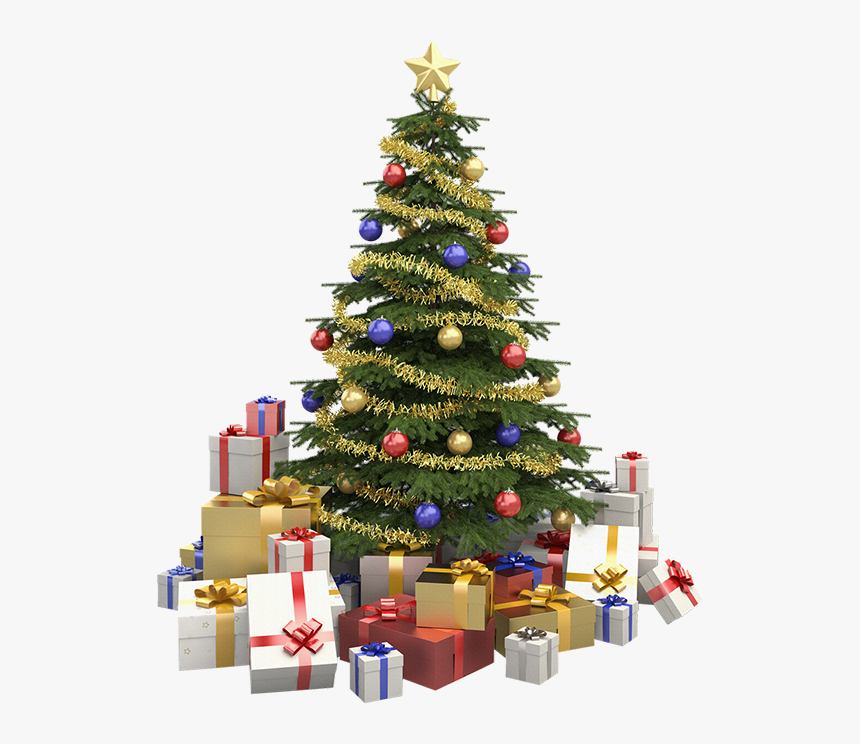 Usada Como Enfeite Nas Portas De Entrada Das Residências - D Un Sapin De Noël, HD Png Download