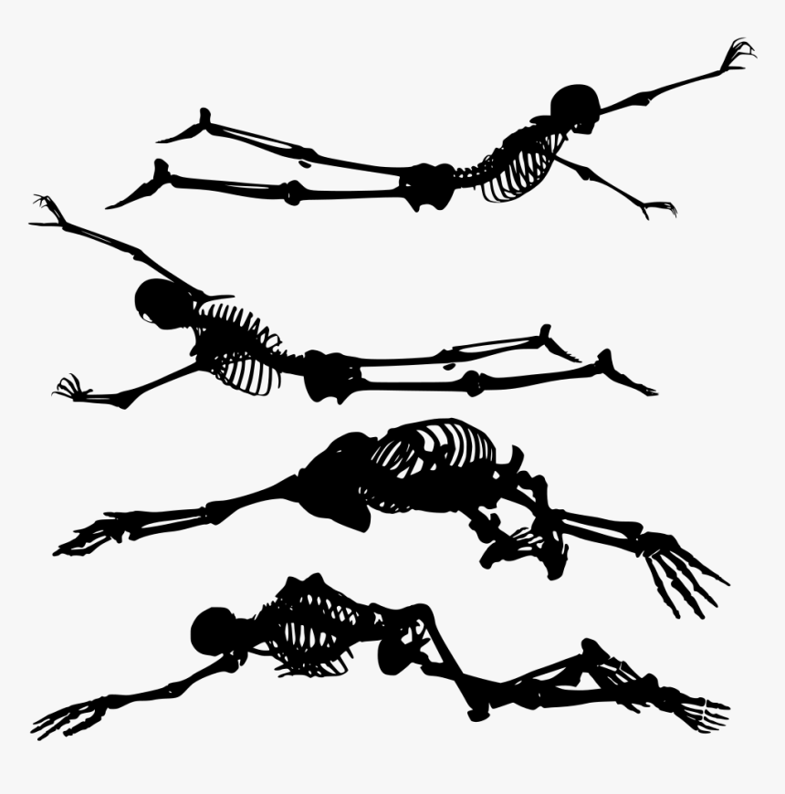 Skeleton Png Transparent, Png Download