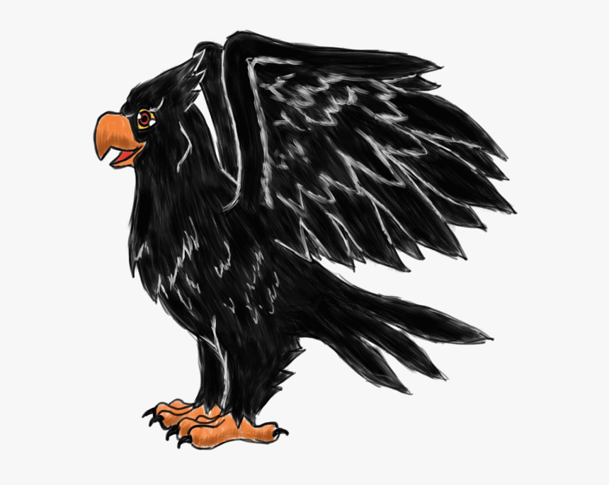 The German Black Eagle - Eagle, HD Png Download