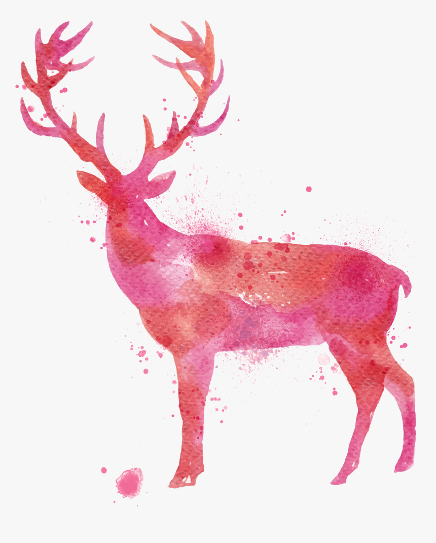 Deer Watercolor Painting Drawing - Animal Vector Deer, HD Png Download