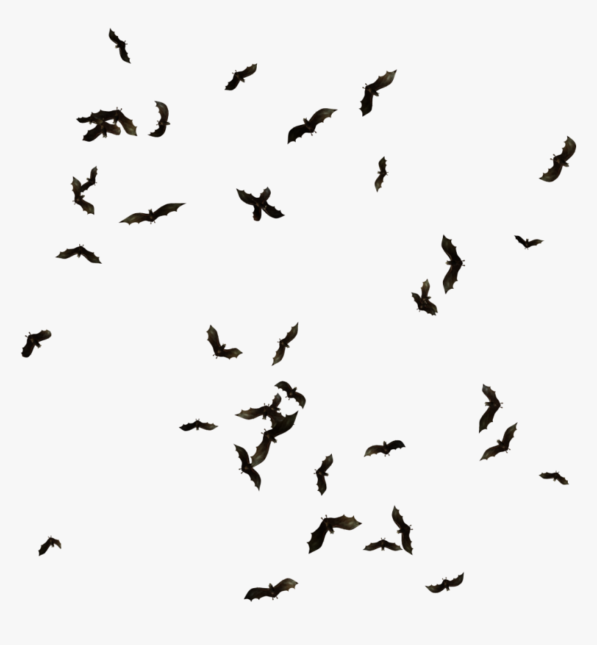 Swarm Of Bats Png Clipart , Png Download - Swarm Of Bats Png, Transparent Png