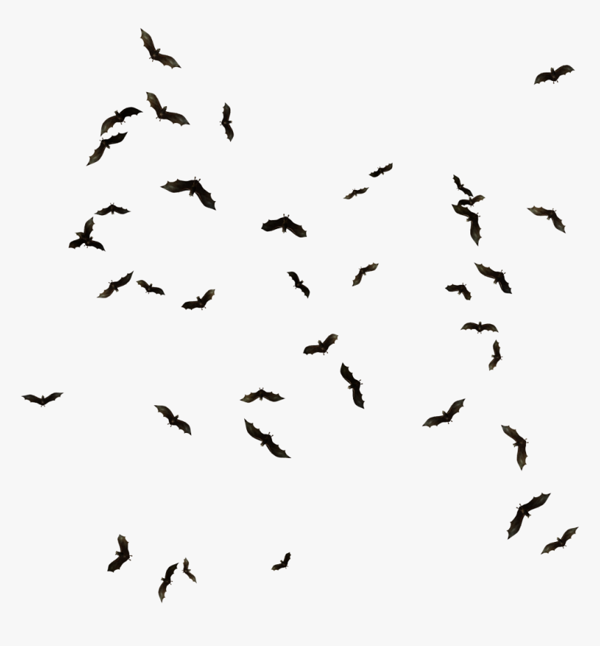 Bat Png Pic - Lil Uzi Vert Countin Ft 2 Chainz, Transparent Png