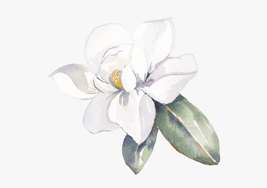 Data Src //cdn - Frangipani Watercolor Png, Transparent Png