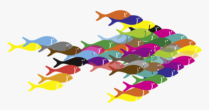 Colorful Fish Logo Png, Transparent Png