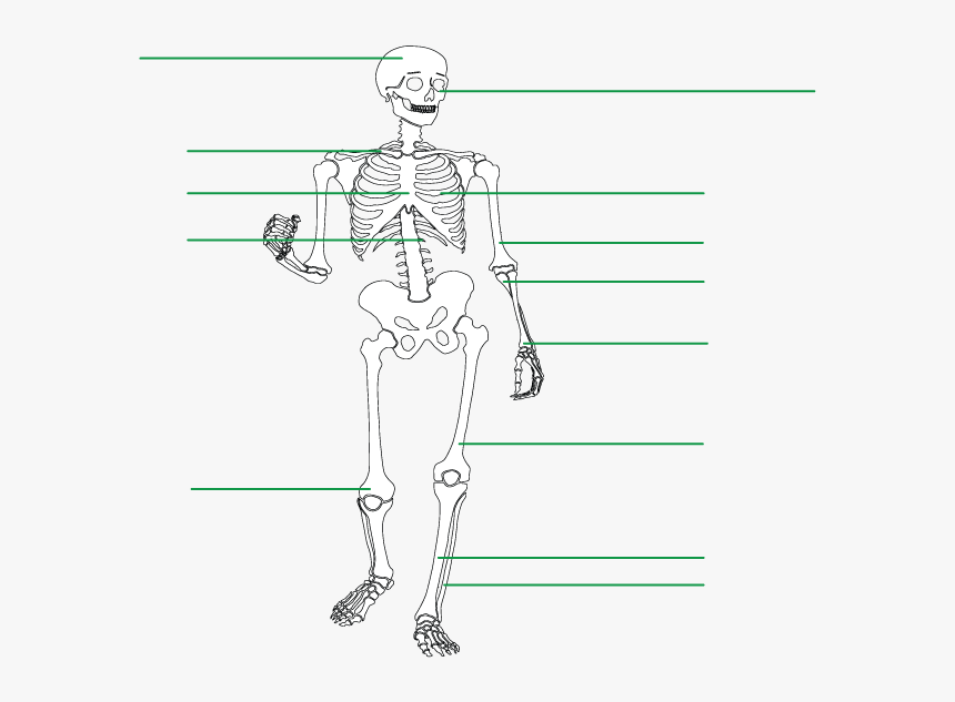 Diagram, HD Png Download