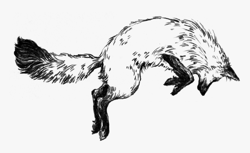 Fox In The Snow Cafe, HD Png Download