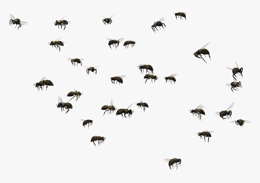 Transparent Bee Hive Clip Art - Swarm Of Bees Png, Png Download