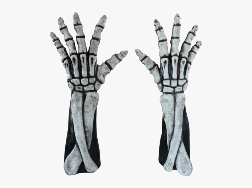 Large Skeleton Hands With Arm Bones Costume Gloves, HD Png Download
