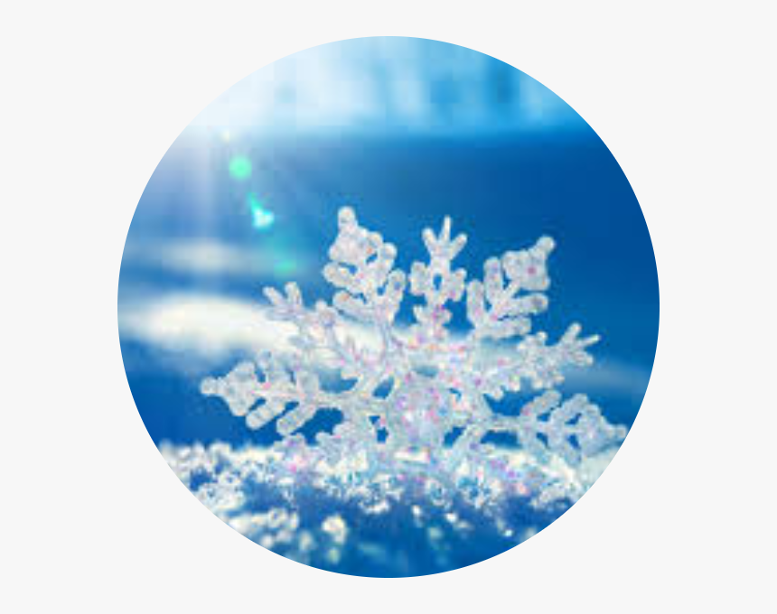 Sophei - Snowflake Beautiful, HD Png Download