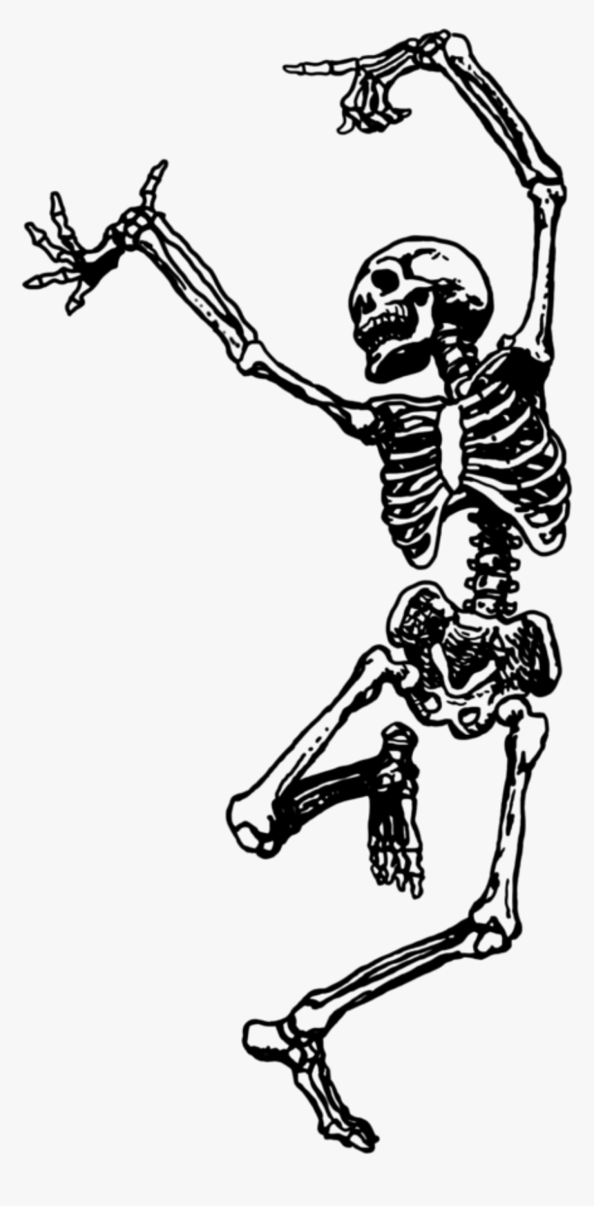 Dancing Skeleton Clip Art, HD Png Download