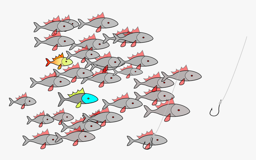 Shoal Of Fish Animated, HD Png Download