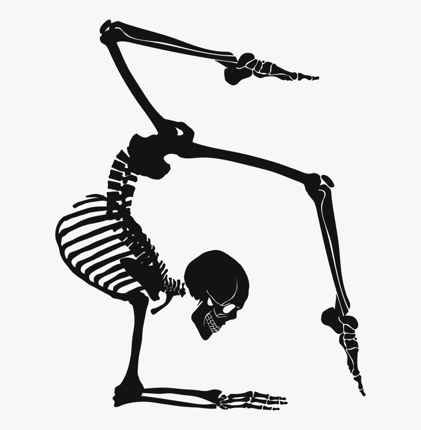 Esqueletos Haciendo Posturas De Yoga, HD Png Download