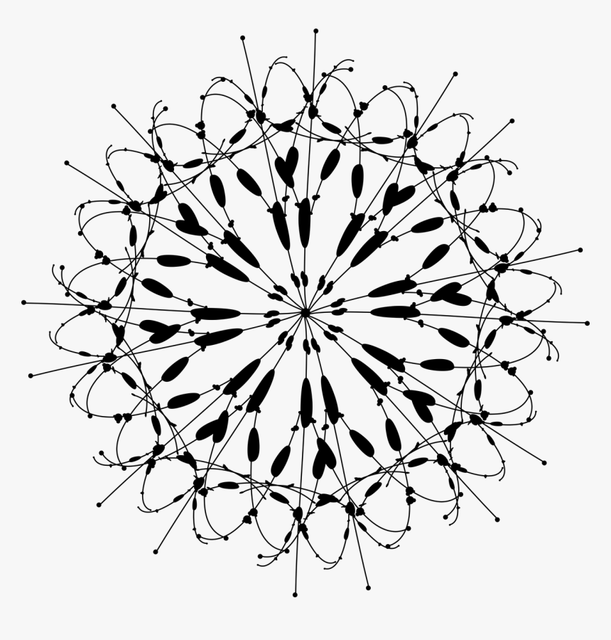 Circle, HD Png Download