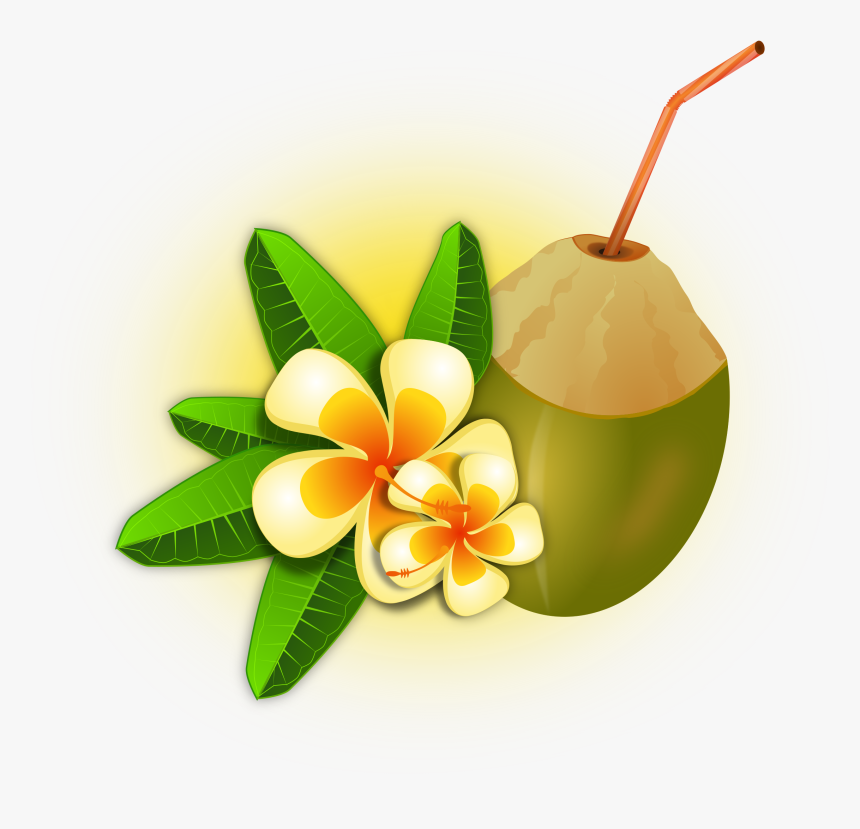 Cocktail, Coconut, Drink, Flower, Food, Fruit, Hawaii - Black Label Con Agua De Coco, HD Png Download