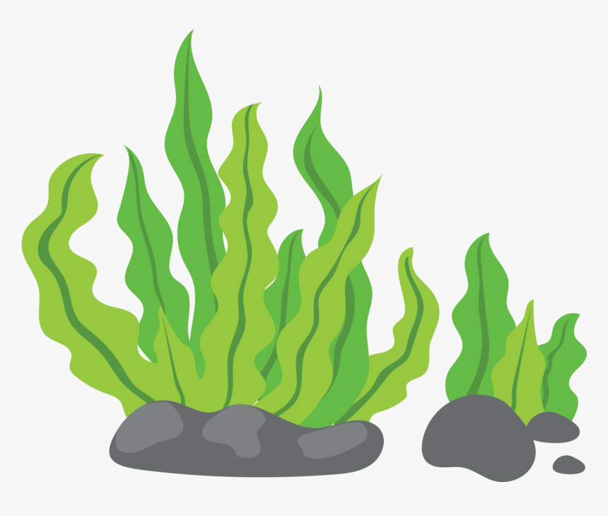Transparent Weed Joint Png - Seaweed Png Cartoon, Png Download