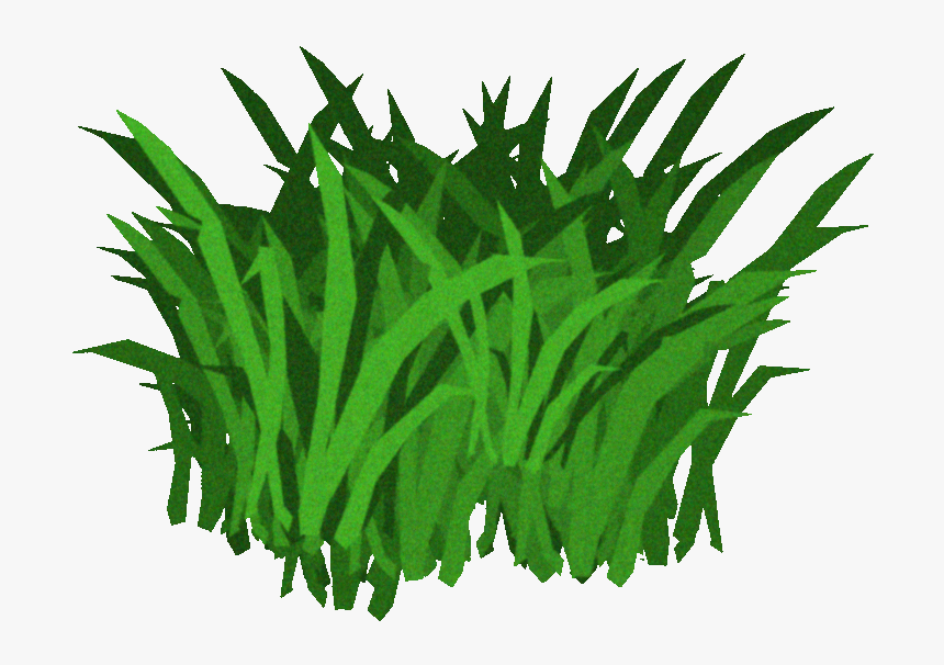 Seaweed Transparent Background, HD Png Download