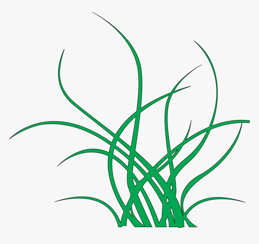 Yosun Çizim Png, Transparent Png