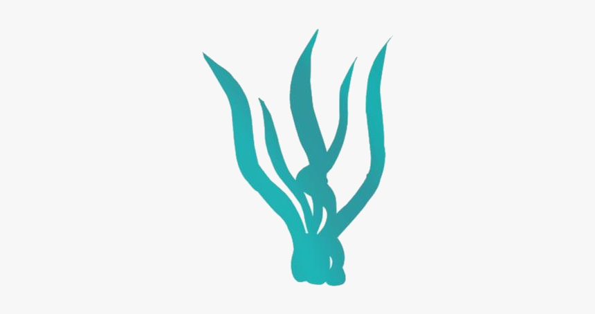 Seaweed Png Transparent Images - Seaweed Animation, Png Download