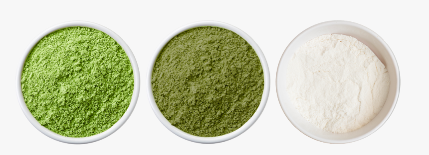 Seaweed Research, HD Png Download