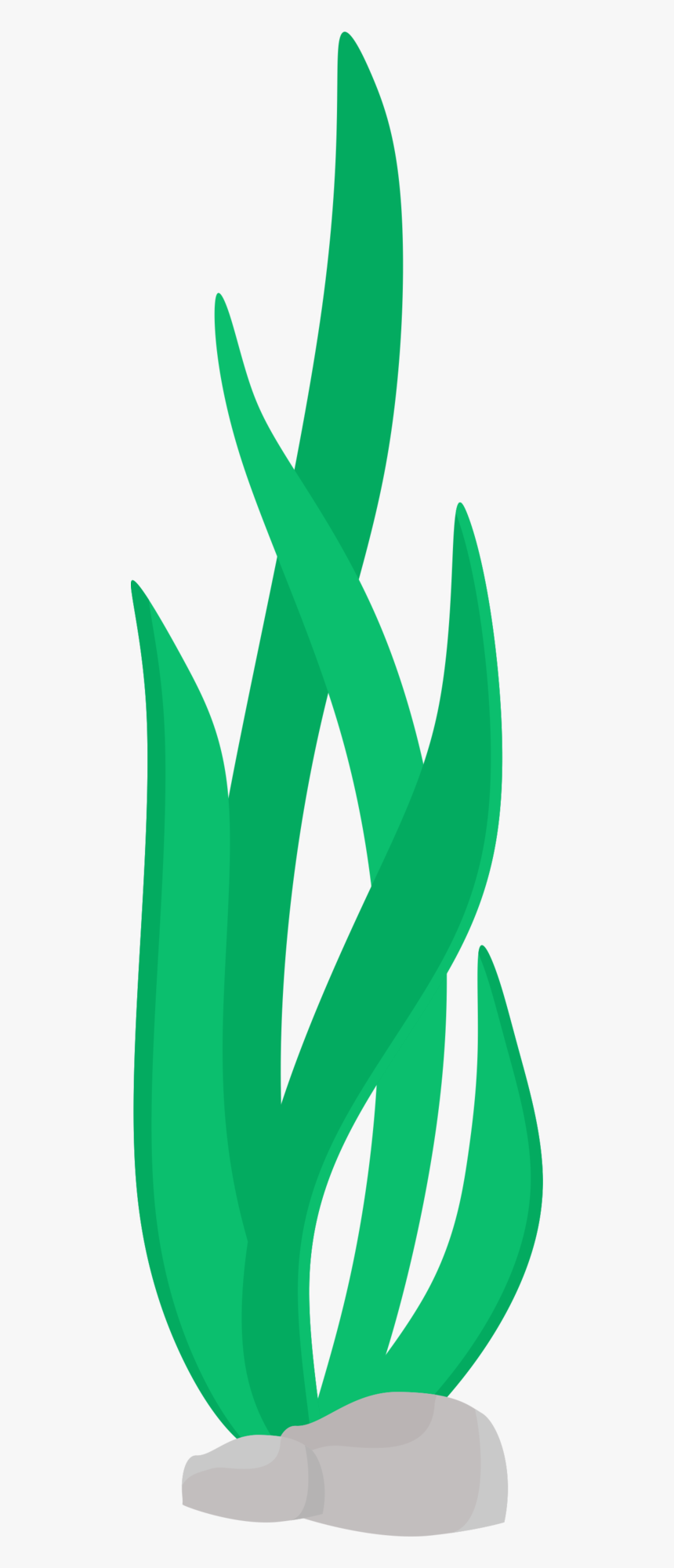 Beachy Dreams Pinterest - Algas Marinhas Desenho Png, Transparent Png