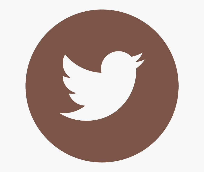 Twitter Logo In Circle, HD Png Download