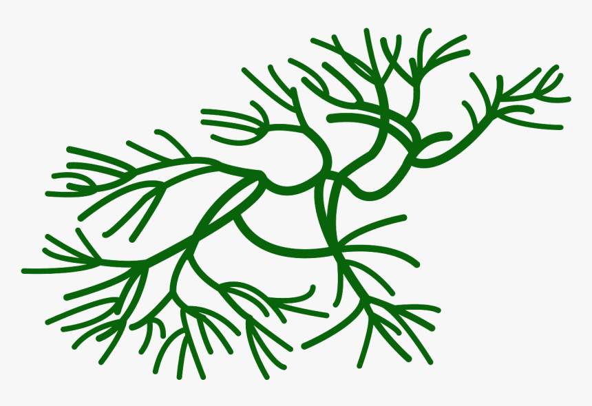 Seaweed Clipart Free Vector, HD Png Download